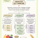 Une assiette de mets sains riche en hydrates de carbone pour illustrer une alimentation équilibrée.