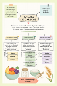 Une assiette de mets sains riche en hydrates de carbone pour illustrer une alimentation équilibrée.